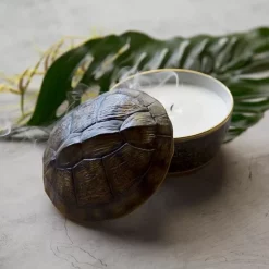Best Pirce ✨ L'Objet Turtle Candle Brown ❤️ -L'Objet Shop unnamed file 372