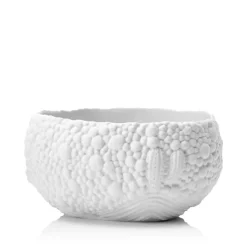 Flash Sale 🌟 L'Objet Haas Mojave Dessert Bowl, Small White ✨ -L'Objet Shop unnamed file 661